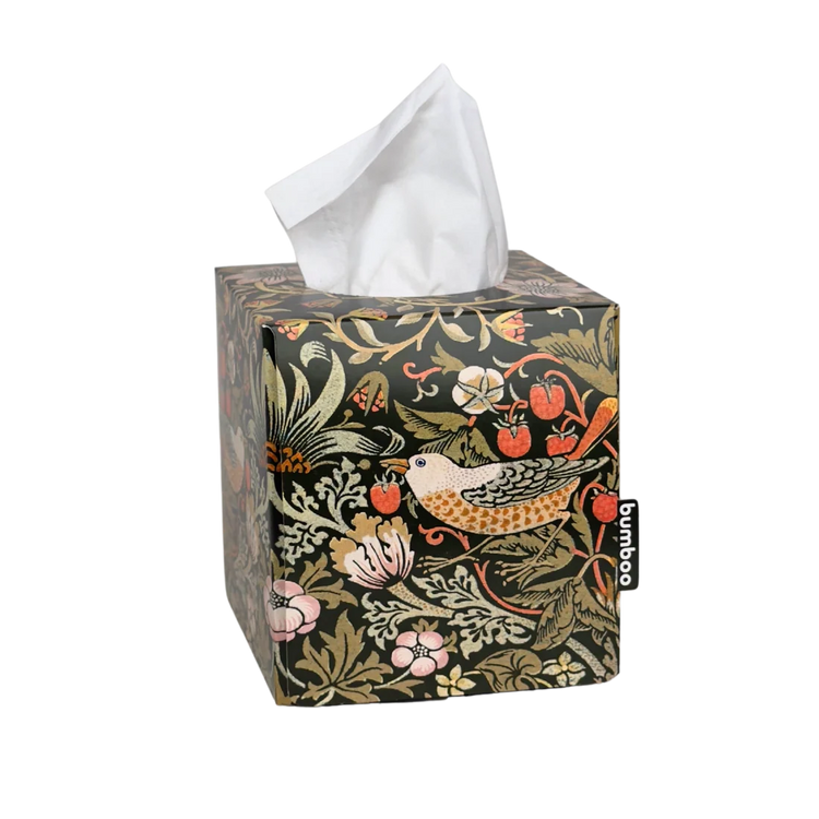 William Morris bamboo facial tissues