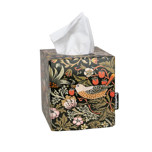William Morris bamboo facial tissues